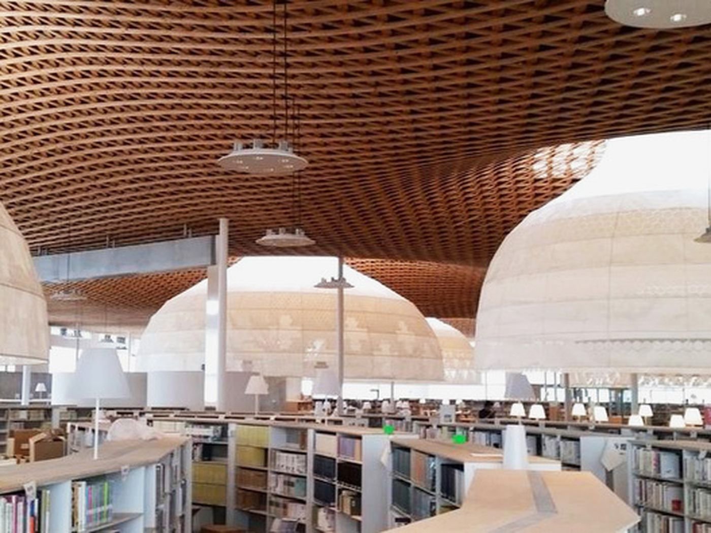 🏛️ 모두의 숲 기후 미디어 코스모스 (민나노모리 기후 미디어 코스모스) 이미지 4